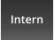 Intern