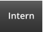 Intern